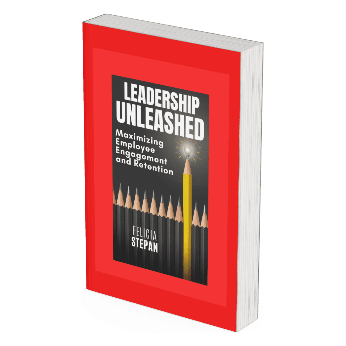 Leadership Unleashed by Felicia Stepan explores the root causes of team dysfunction and offers practical, human-centered strategies for improving retention, trust, and alignment.